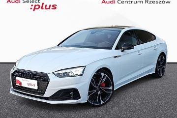 panoramiczny dach, hak, kamera cofania, matrixy,