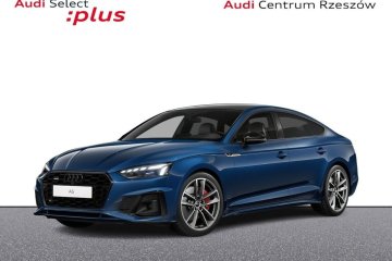 panoramiczny dach, head up, B&O, sportowy fotel, kamery 360,