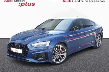 panoramiczny dach, head up, B&O, sportowy fotel, kamery 360,