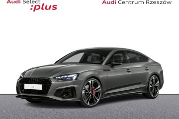 panoramiczny dach, kamery 360, masaż fotela, matrixy, aktywny tempomat